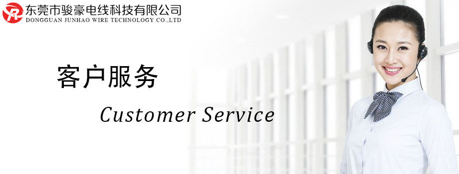 w66电线客户服务中心