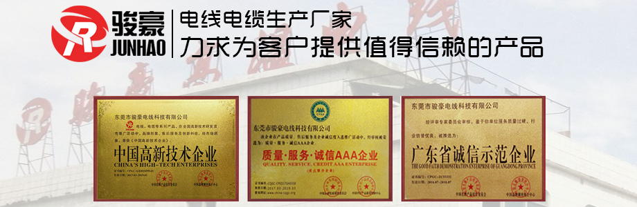w66电线声誉证书展示