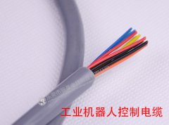 行业新闻-w66